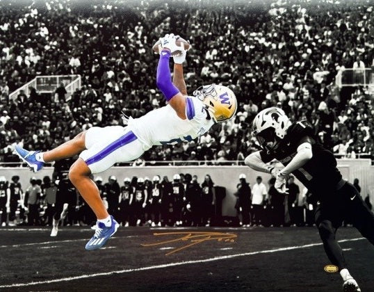 Ja'Lynn Polk Autographed 16x20 Photo - Diving Catch
