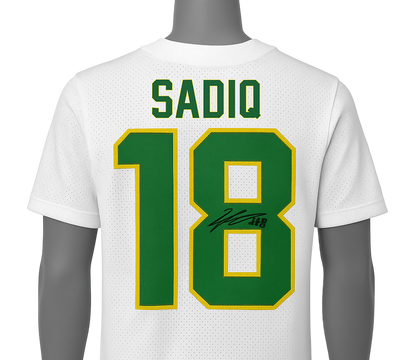 Authentic Autographed Memorabilia 
