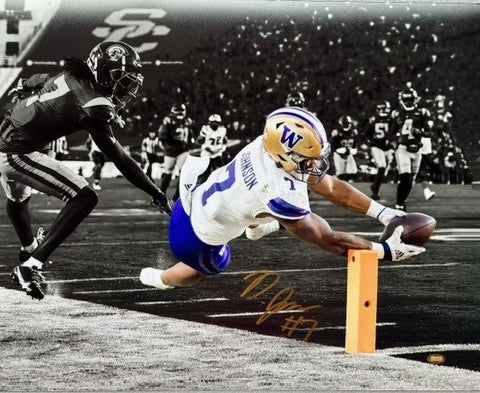 Dillon Johnson Autographed 16x20 Photo - Diving