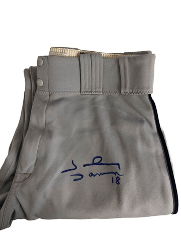 Johnny Damon Autographed Uniform Pants - Player's Closet Project