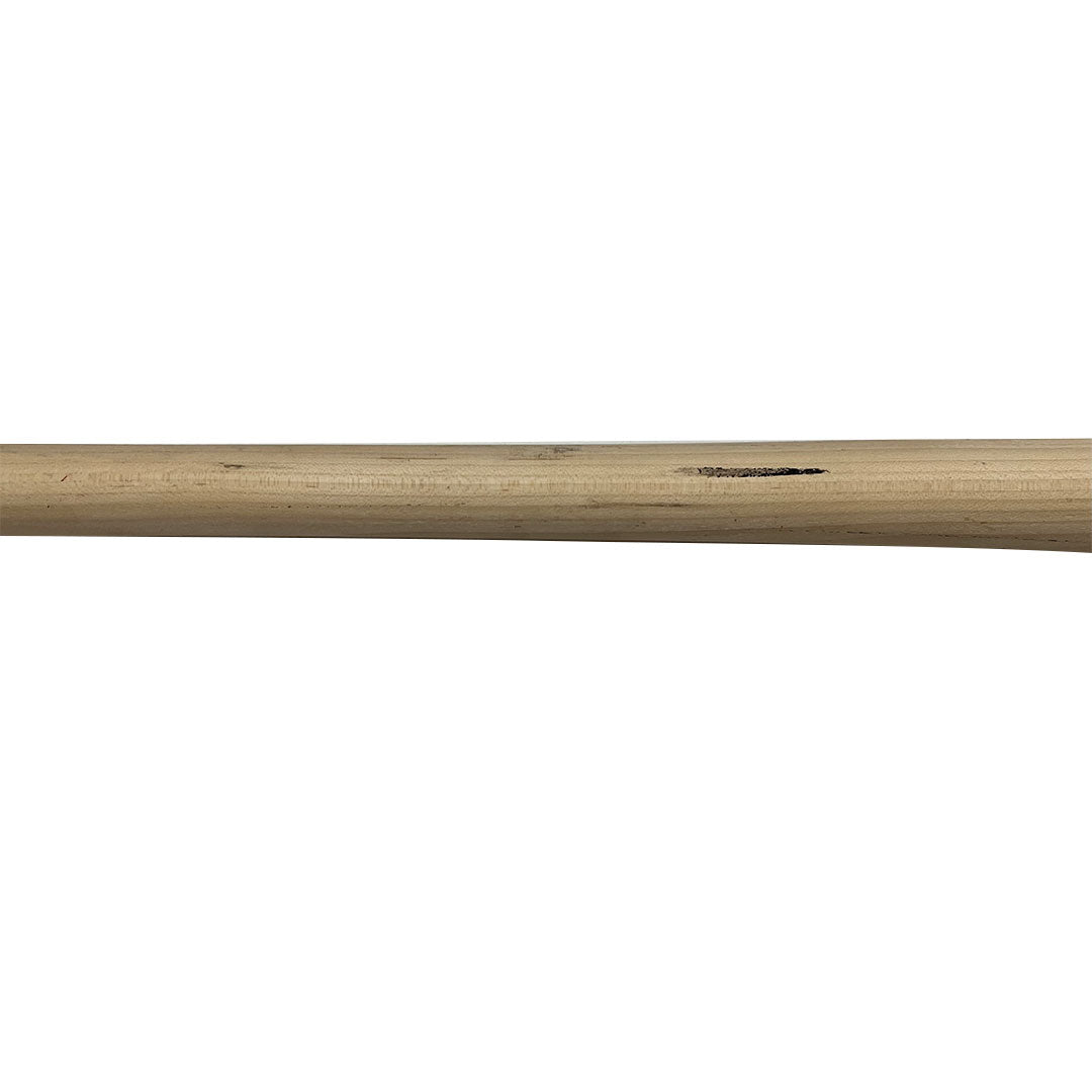 Carlos Pena Autographed Game Used Houston Astros Bat - Player's Closet Project