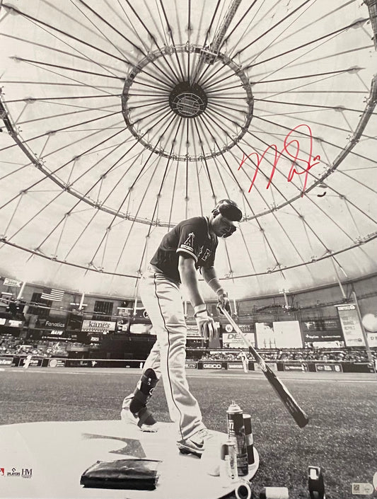 Mike Trout Autographed 16x20 - B/W Tropicana